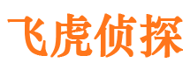 金口河寻人公司